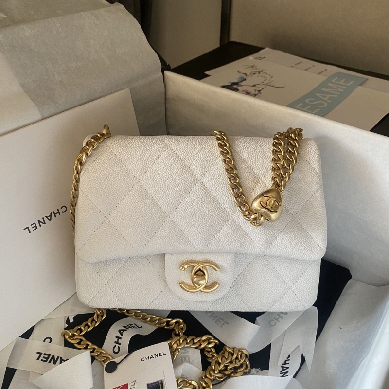 Ch*el 19 bags